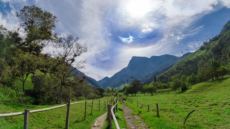 Colombia's Coffee Region
